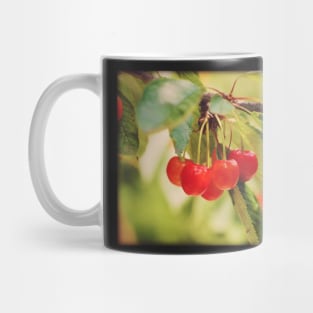 Cherry Branch Mug